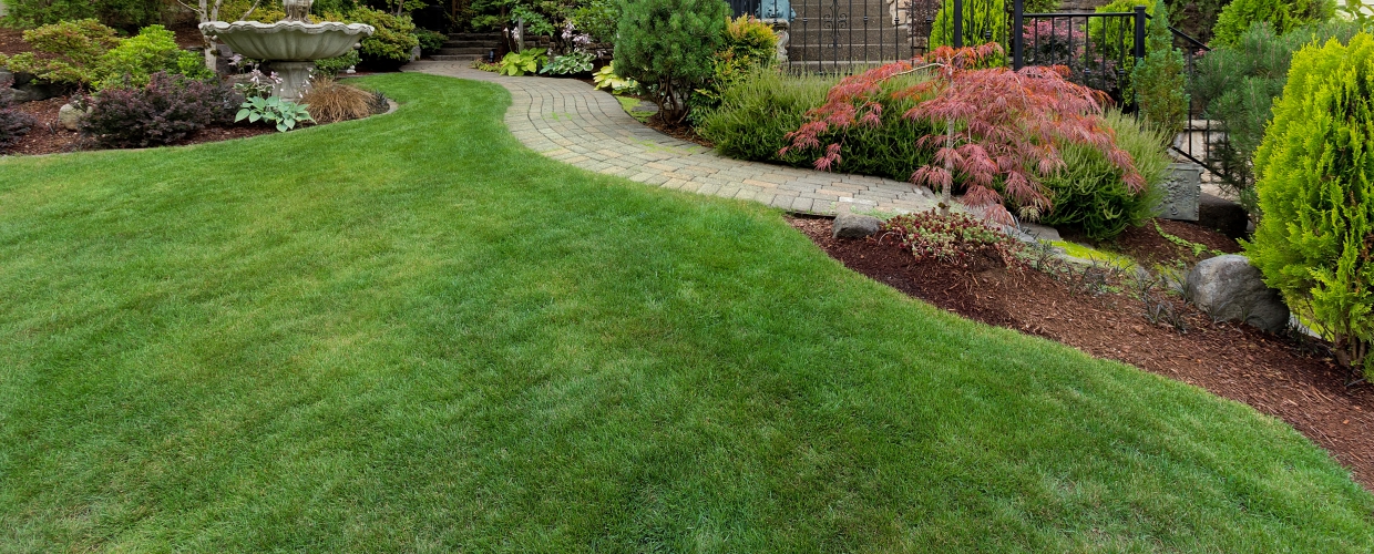 jose amaya landscaping