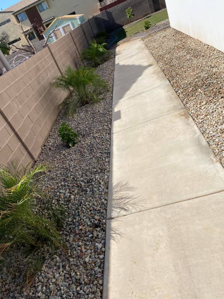 Concrete walkway through landscaping 