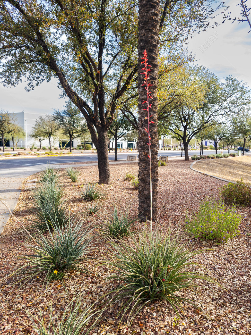 Commercial property landscaping