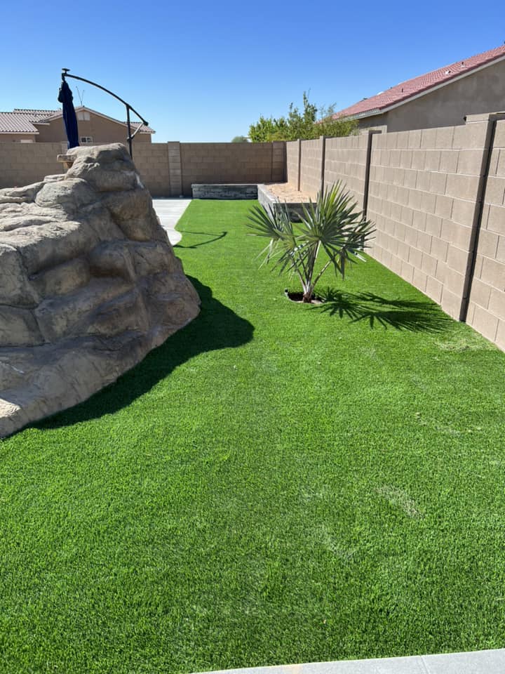 Artificial turf in the backyard with lots of sunshine