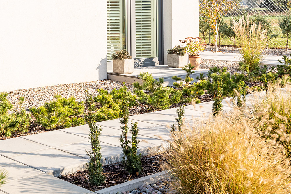 Variety of plants along concrete walkway